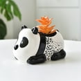 Ceramic Flowerpot Fleshy Potted Panda Flower Arrangement Containers