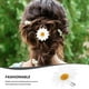 thumbnail image 2 of 10pcs pinzas para el cabello lindas margaritas girasol pernos de pelo pernos de pelo fresco para damas y niñas (blanco), 2 of 6