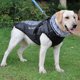 thumbnail image 3 of Abrigo de algodón reflectante para perros, ropa cálida para mascotas a prueba de viento, suéter con cuello de lana para invierno MFZFUKR CPB-US-FXT458-5, 3 of 6