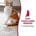 thumbnail image 2 of Quitamanchas y olores Nature's Miracle Cat en aerosol, 946 ml, 2 of 9