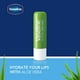 thumbnail image 3 of Bálsamo labial Vaseline Lip Therapy Aloe Fresh, paquete de 8 unidades, 4 ml, 3 of 9