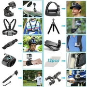 GoPro MAX 360 Waterproof Action Camera with 50 Piece DigiNerds Accessory Kit