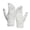White, variant on Daznico Winter Gloves, Warm Knitted Touchscreen for and Winter Pineapple Jacquard Pattern Thermal Lined Cold Weather