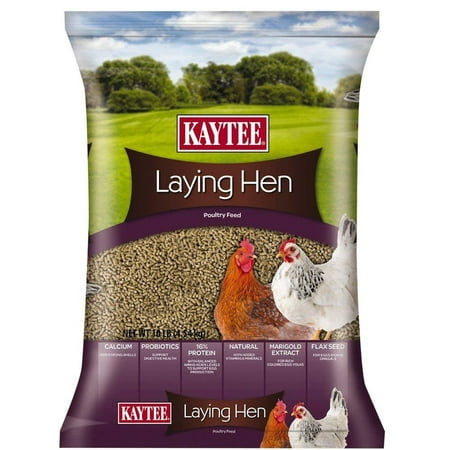 Kaytee Laying Hen Diet, 10 Pound (Best Chicken Food For Laying Hens)