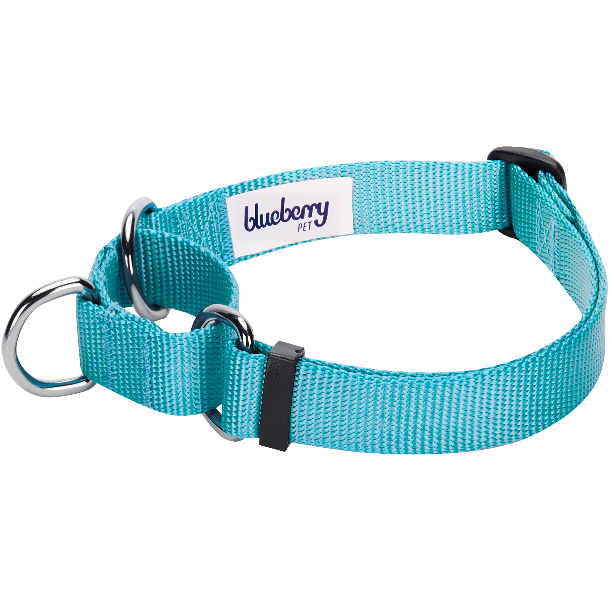 Blueberry Pet Adjustable Dog Martingale Collar Made for Last, Medium Turquoise, Large, Neck 18"-26"