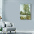 thumbnail image 3 of Trademark Fine Art 'Early Spring I' Canvas Art by Tim OToole, 3 of 4