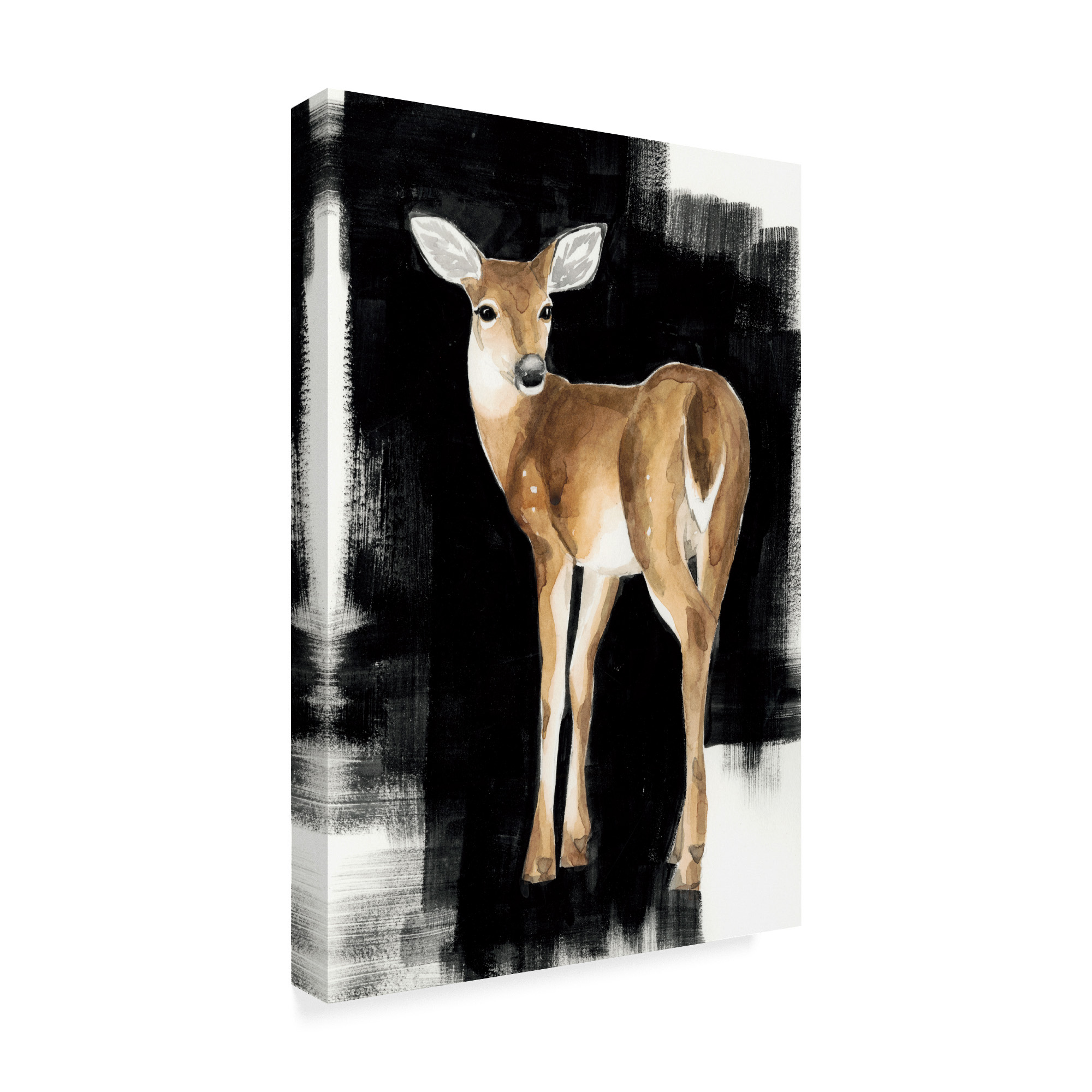 Trademark Fine Art 'Nocturnal I' Canvas Art by Grace Popp