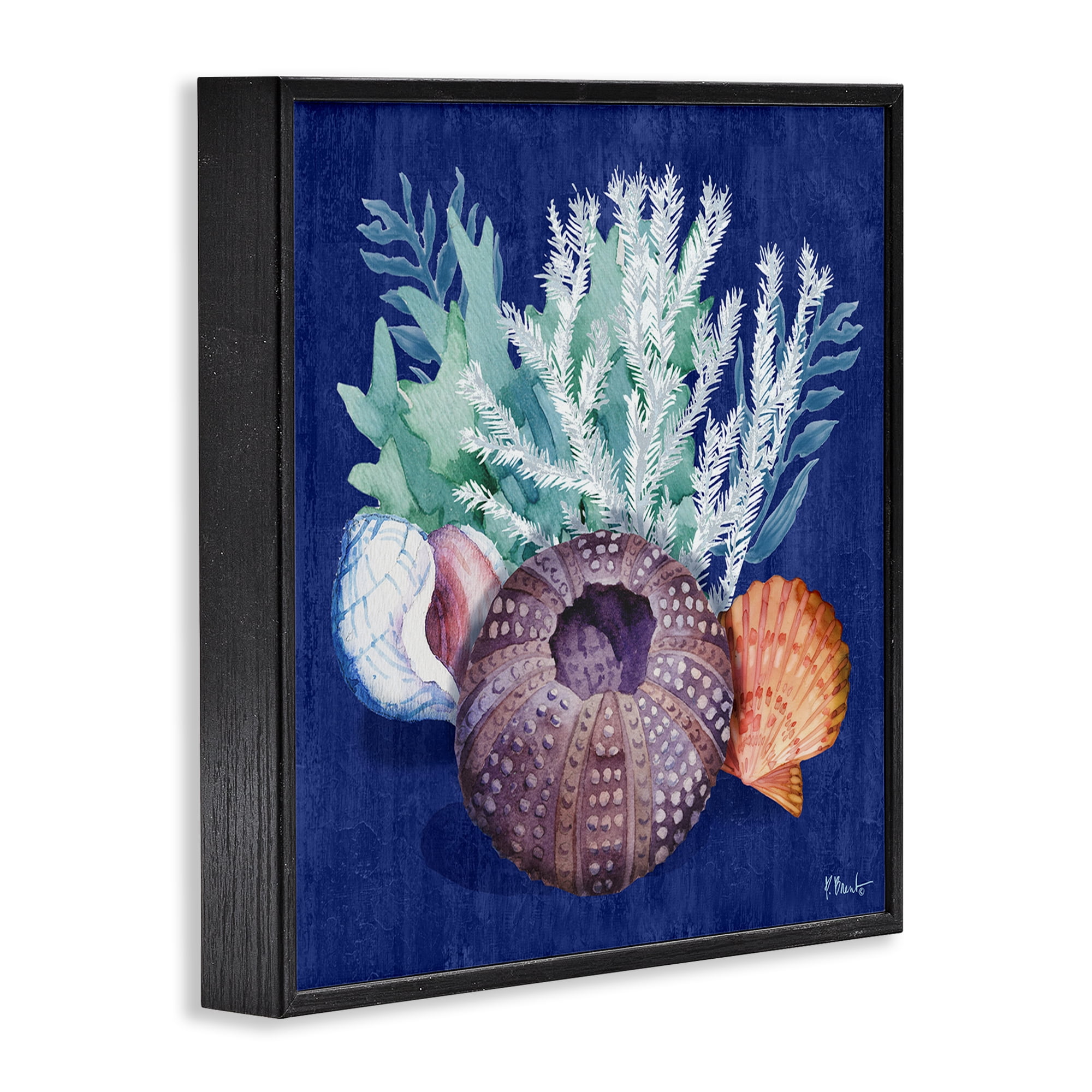 Stupell Industries Urchin Sea Life Coastal Painting Black Framed Art Print Wall Art, 17 x 17