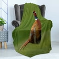 thumbnail image 4 of Bird Soft Flannel Fleece Throw Blanket, Common Pheasant Long Tail on the Grass Meadow Habitat Czech Republic European, Cozy Plush for Indoor and Outdoor Use, 50" x 60", Green Orange Red, by Ambesonne, 4 of 5