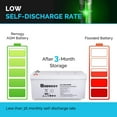thumbnail image 2 of Renogy Deep Cycle AGM Battery 12 Volt 200Ah for RV, Solar, Marine, and Off-grid Applications, 4 Pcs, 2 of 7