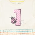 thumbnail image 4 of Inktastic Pink Ladybug 1st Birthday Girls Baby Dress, 4 of 5