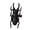 B, variant on Trendy Unisex Animal Themed Ring Featuring A Realistic Scarab Design Jewelry