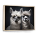 thumbnail image 2 of Designart "Two Alcapas beautyful Guardians II" Animals Floater Framed Wall Art Living Room, 2 of 7