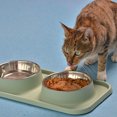 thumbnail image 5 of Double Dog Food Bowls Stainless Steel Food and Water Bowls with Non-Spill Plastic Mat blue, 5 of 5