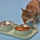 thumbnail image 5 of La comida de perro doble rueda los cuencos de la comida y del agua del acero inoxidable con la estera plástica del no derrame, 5 of 5