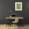 thumbnail image 3 of Seba, John 20x24 White Modern Wood Framed Museum Art Print Titled - Botanica Verde IV, 3 of 4