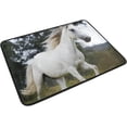 thumbnail image 2 of SKYSONIC Doormat White Horse in Wild Lightweight Non Slip Indoor Outdoor Entryway Rugs Floor Mat for Bathroom Kitchen Entrance 23.6 x 15.7 inches, 2 of 5