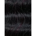 thumbnail image 5 of Mane Concept Pristine Queen 100% Human Hair Drawstring Ponytail - PQWNT02 COIL CURL (F1B/99J), 5 of 5
