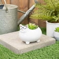 thumbnail image 6 of Napco Groovy Cat with Glasses 3.25 Inch White Wire and Ceramic Flower Pot Planter, 6 of 6