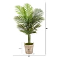 thumbnail image 2 of Nearly Natural 5ft. Paradise Palm Artificial Tree in Farmhouse Planter, 2 of 4