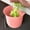 Red, variant on Konghyp Kitchen Trash Can, Household Waste Bin, Odor Locking Feature, Portable Plastic Container, Ideal for Home and Outdoors, Hygienic Garbage Storage Solution