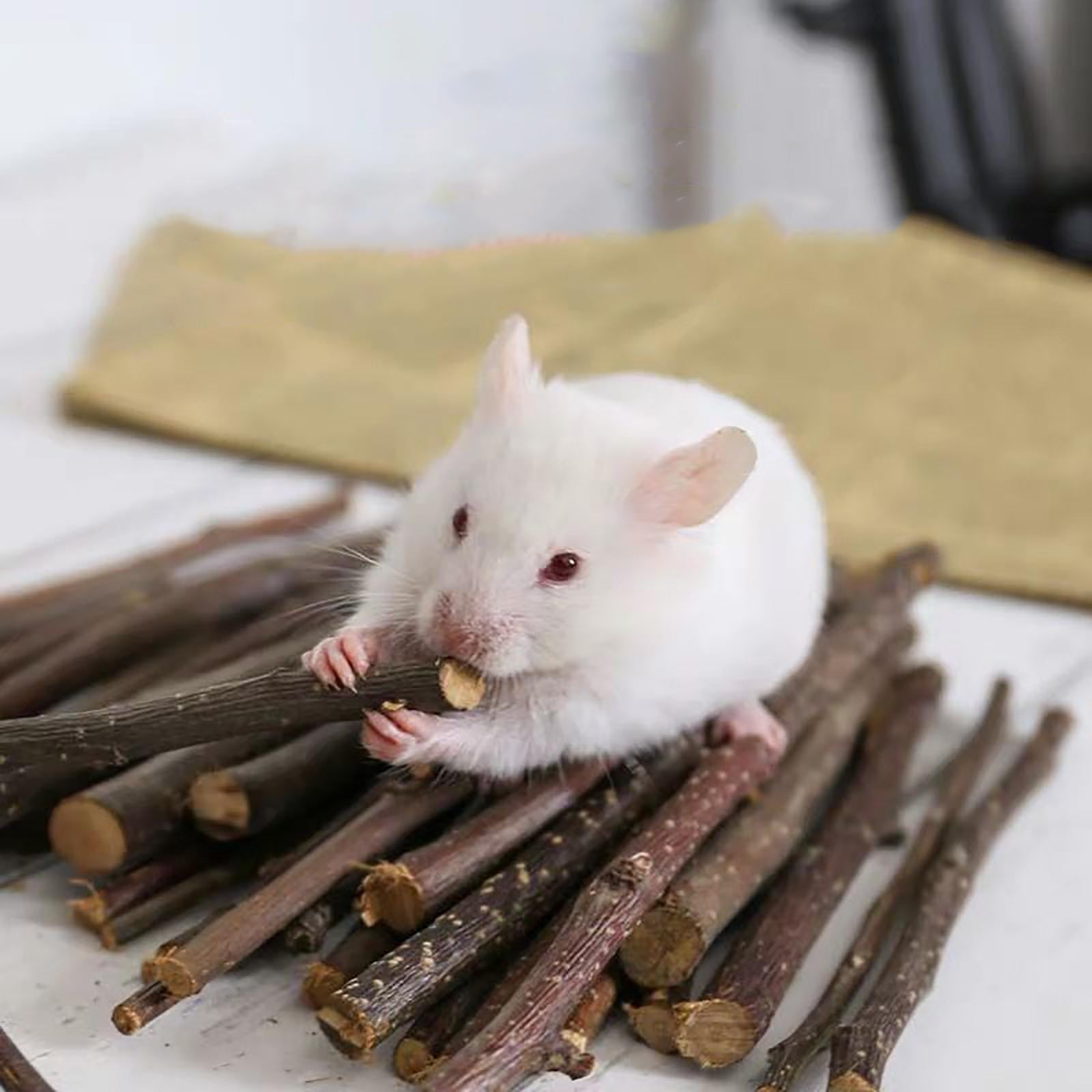 EHJRE Natural Hamster Chew Sticks, Molar Twigs, Accessories, Bunny Branches Rat Toys, Wood for Rodent Animals Groundhog Squirrels Treats