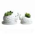 thumbnail image 5 of BToBackYard Garden Decor Animal Flowerpot Pot Bottle Cute Ceramic Tabletop Potted Lovely Decorations Cartoon Hedgehog Succulent, 5 of 14