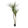 thumbnail image 1 of Autograph Foliages AUV-185720 8 ft. UV Pandanus Tree, Turtle Tank Green, 1 of 1