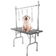 thumbnail image 1 of Soporte De Mesa De Aseo Brazo De Mesa De Aseo De Mascotas Buena Dureza Para Mesa De Perro Y Gato ANGGREK Otros, 1 of 8