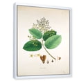 thumbnail image 3 of Ancient Botanicals III 30 in x 40 in Framed Painting Canvas Art Print, by Designart, 3 of 5