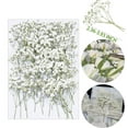 thumbnail image 2 of Triani 50Pcs White Dried Pressed Flowers Real Natural Flat Real Gypsophila Dried Pressed Flowers for Resin Art Craft DIY Making Wedding Card Home Party Decor, 2 of 6