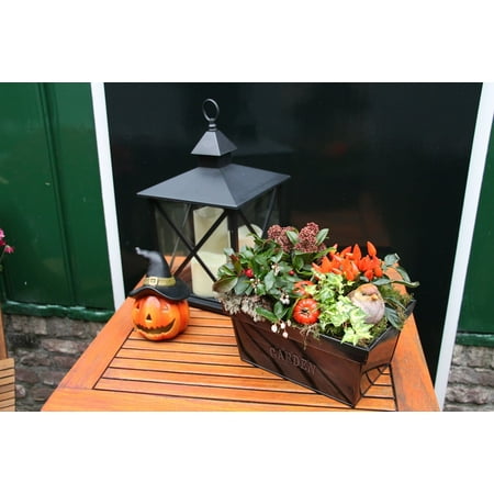 LAMINATED POSTER Lantern Light Table Pumpkin Decorated Halloween Poster Print 24 x 36