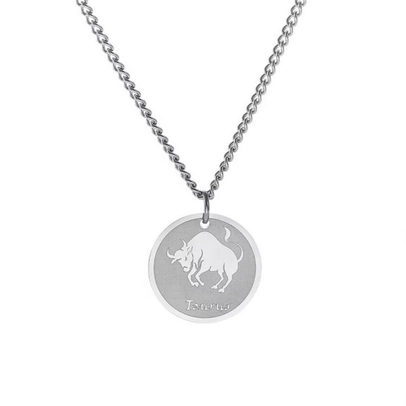 PAURO Men's Stainless Steel Zodiac Constellation Round Coin Pendant Charm Astrology Amulet Necklace Taurus