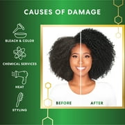 Palmers Coconut Oil Formula Bonding Repair Complex 6.7 fl. oz.