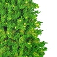 thumbnail image 4 of Vickerman 7.5' Flocked Lime Slim Fir Artificial Christmas Tree, Lime Dura-lit LED Lights, 4 of 4