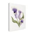 thumbnail image 3 of Trademark Fine Art 'Easter Blessing Flower III' Canvas Art by Kathleen Parr McKenna, 3 of 4