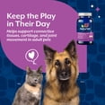 thumbnail image 5 of NaturVet Moderate Joint Care Hip & Joint Supplement for Dogs and Cats, Hickory Smoked Bacon Flavor, 120 Count, 5 of 9
