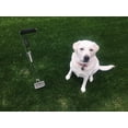thumbnail image 2 of PooperPicker, 2 of 4
