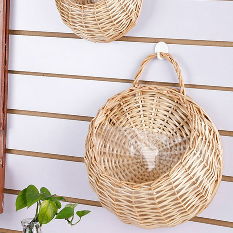verigated house plants Variegated Philodendron 'Birkin' : Tropical Live Plant - Great for  Beginners - (6” Pot) – Unlimited Variegation - Easy Plant Care main image 1
