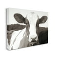 thumbnail image 3 of Stupell Industries Cow Portrait Farm Landscape Animals & Insects Photography Gallery Wrapped Canvas Print Wall Art, 30 x 24, 3 of 7
