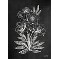 thumbnail image 2 of House Fenway 19x24 Black Ornate Wood Framed with Double Matting Museum Art Print Titled - Vintage Chalkboard Flowers, 2 of 4