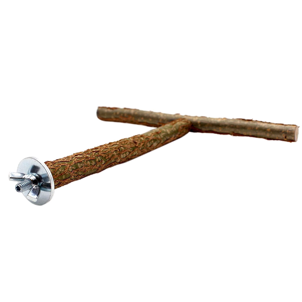 t bar parrot stand