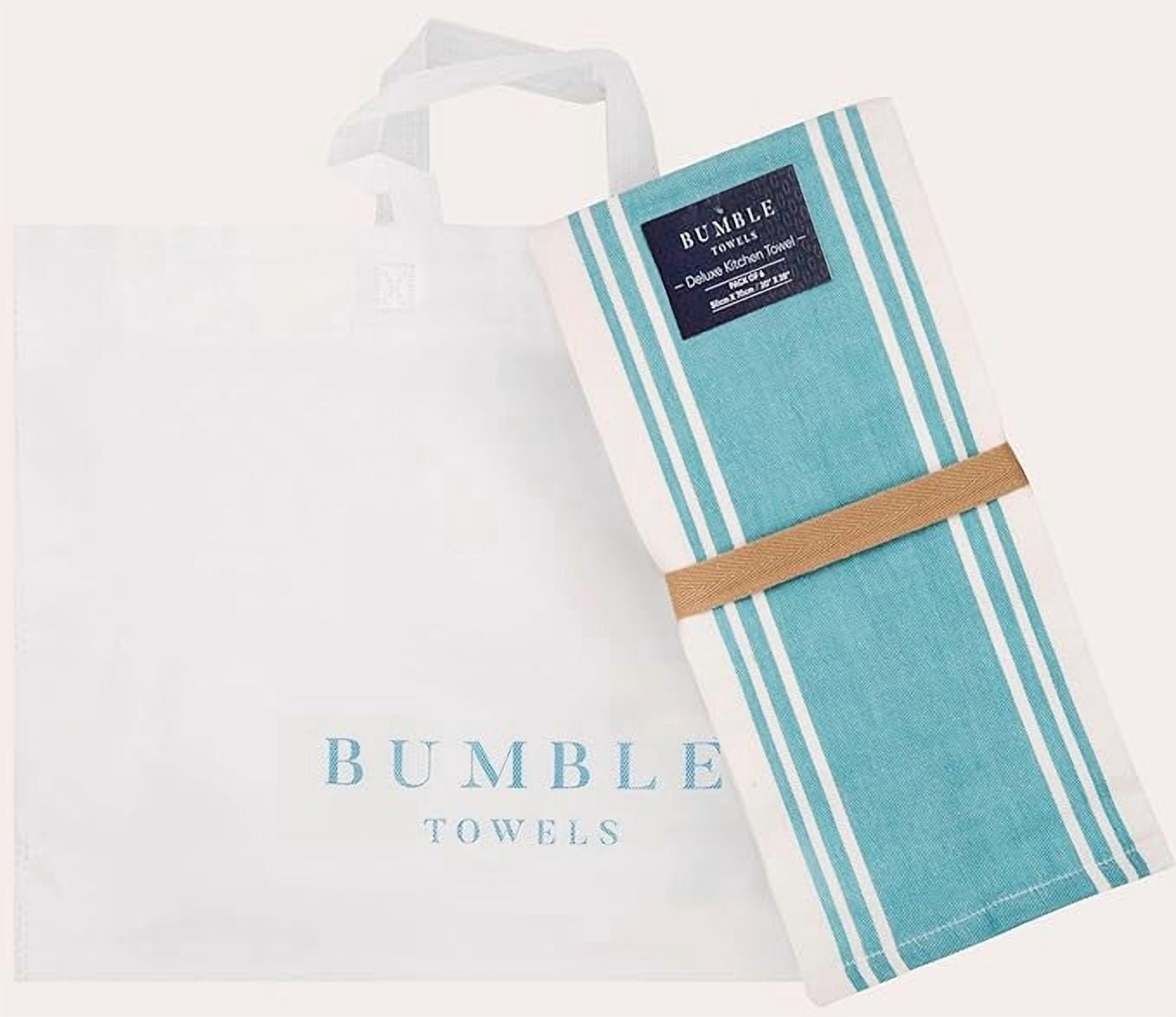 Premium Kitchen Towels (20”x 28”, 6 Pack) – Large Cotton Kitchen Hand Towels – Vintage Striped Flat & Terry Towel – Highly Absorbent Tea Towels Set with Hanging Loop – Aqua