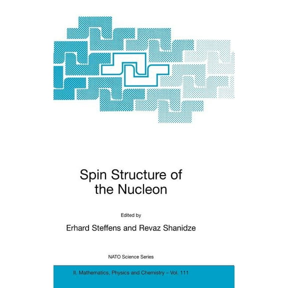 NATO Science Series II: Mathematics, Phy Spin Structure of the Nucleon, Book 111, (Hardcover)
