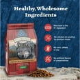thumbnail image 6 of Blue Buffalo Wilderness Adult Dry Dog Food, Rocky Mountain Recipe, Red Meat, 4.5 lb. Bag, 6 of 12
