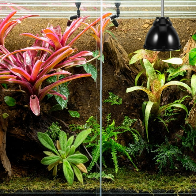 Luxshiny 1 Set Turtle Lamp Protection for Temperature Maintenance in Breeding Boxes