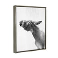 thumbnail image 4 of Stupell Industries Donkey Bathroom Splash Animals & Insects Painting Gray Floater Framed Canvas Art Print Wall Art, 25 x 31, 4 of 10