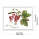 thumbnail image 2 of Hilo de bordar de algodón ecológico, Kit de punto de cruz con fruta impresa de 14CT, obra de arte de 32x27cm, 2 of 9