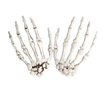 LHWEN Halloween Skeleton Hands Realistic Life Size Severed Plastic Props Creepy Party Decorations Curved Design Display Artist Use Learning Tools Table Decor Indoor Outdoor Hanging Decor