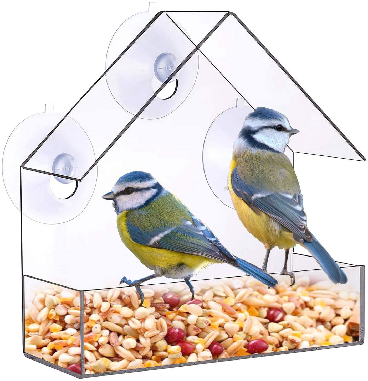 Bird Feeder House Window Garden Outdoor Clear Transparent Acrylic Suction Cup 